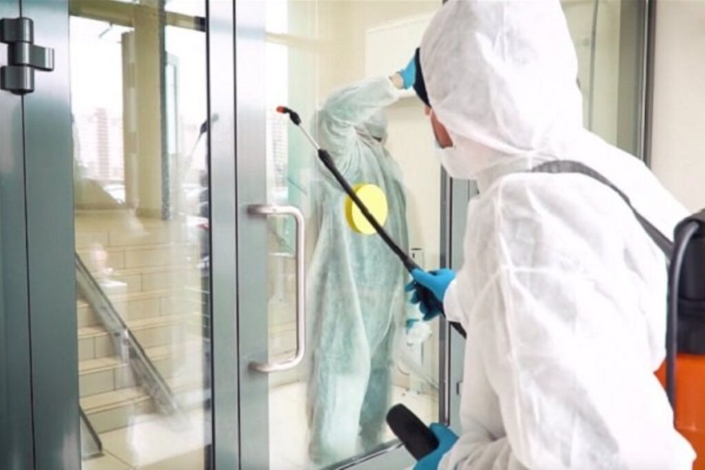 شركة مكافحة حشرات بالاحساء